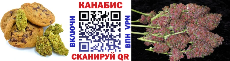 Купить где  Яровое  Cannafood конопля 