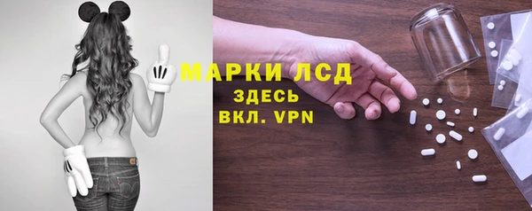 apvp Алзамай