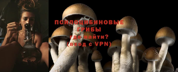 apvp Алзамай