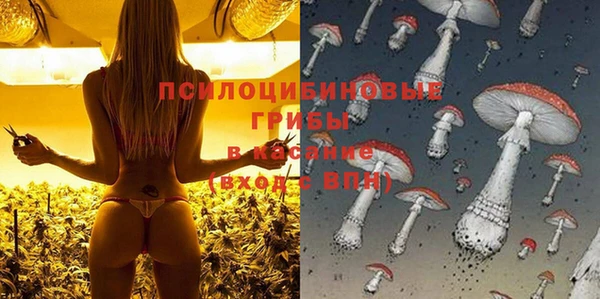 соль ск Алексин