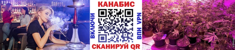 Шишки марихуана марихуана  Купить  Яровое 